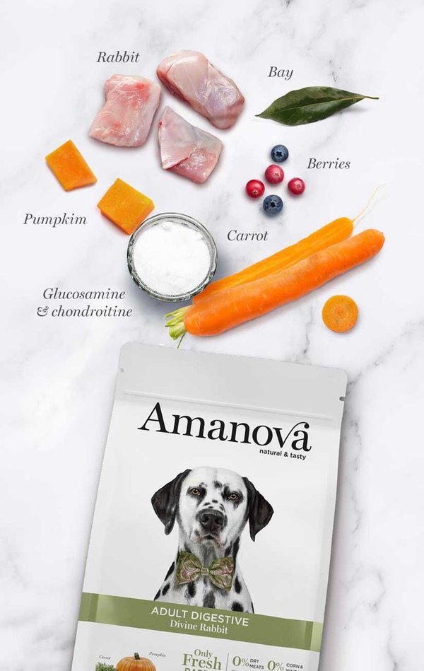 Amanova Digestive kani & kurpitsa aikuisille koirille