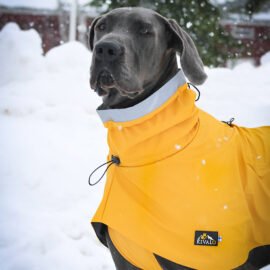 Kivalo koiran sadetakki istuu hyvin isollakin koiralla ja suojaa sateelta ja tuulelta